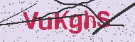 Güvenlik Kodu