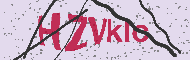 Güvenlik Kodu