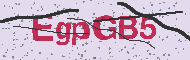Güvenlik Kodu