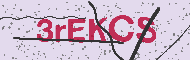 Güvenlik Kodu