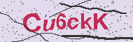 Güvenlik Kodu