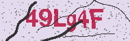 Güvenlik Kodu