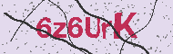 Güvenlik Kodu