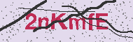 Güvenlik Kodu