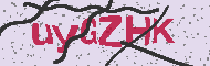 Güvenlik Kodu