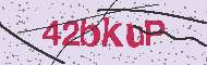 Güvenlik Kodu