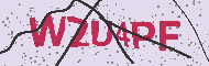 Güvenlik Kodu