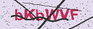Güvenlik Kodu